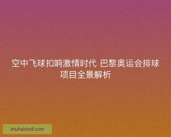 空中飞球扣响激情时代 巴黎奥运会排球项目全景解析